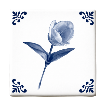 Enkele Tulp (Minimal Edition)